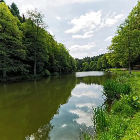 Ein ruhiger See umgeben von dichten, grünen Bäumen. Der Himmel ist teilweise bewölkt und spiegelt sich im Wasser.