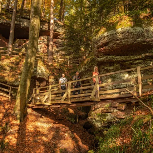 Ein Holzsteg führt durch einen Wald mit großen Felsen. Die Umgebung ist grün und von herbstlichem Laub geprägt.