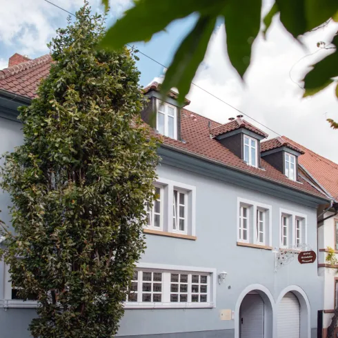 Ein hübsches, blaues Gebäude mit Fenstern und einem Eingangsbereich. Vor dem Haus steht ein großer Baum.