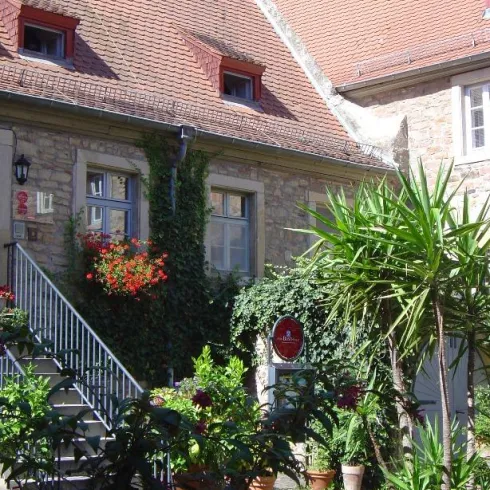 Ein schönes. gemauertes Haus mit einer Treppe zum Eingang. Das sit der Von- Busch- Hof in Freinsheim, er ist mit vielen nPflazen geschmückt.