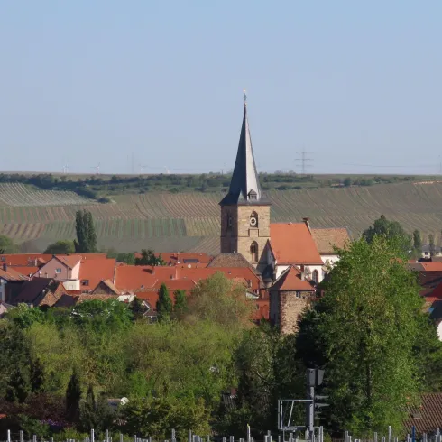 Eine schöne Aussicht auf Freinsheim, panorama Blick auf die ganze Stadt Freinsheim und auf die, dahinter liegenden, Weinberge.