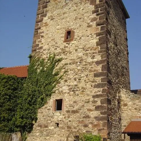 Der herzogturm von außen. Ein schöner, gemauerter Steinturm, der Turm ist mit Pflanzen bewachsen.