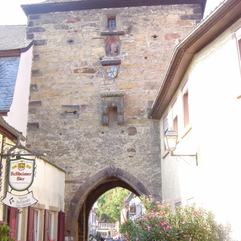 Das Innere Tor der Freinsheimer Stadtmauer, umgeben von Häuser und blühende Pflanzen.