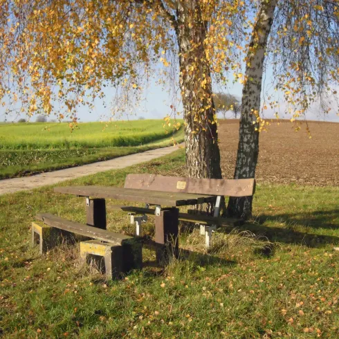 Eine Holzbank steht unter einem Baum mit herbstlichen Blättern. Im Hintergrund sind ein grünes Feld und ein klarer Himmel zu sehen.