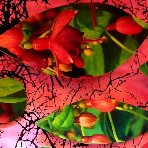 Bunte Blätter und Blumen auf einem roten Hintergrund. Die lebendigen Farben schaffen eine interessante Komposition.