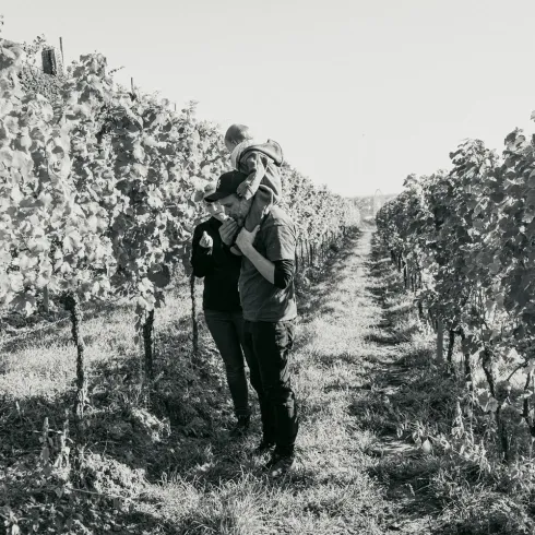 Zwei Personen stehen in einem Weinberg und halten Weintrauben in der Hand. Die Umgebung ist von Weinreben umgeben und der Himmel ist klar.