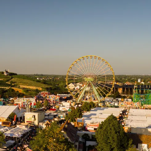 Ein großer Jahrmarkt mit einem Riesenrad und vielen bunten Ständen. Die Umgebung ist grün und die Atmosphäre festlich.