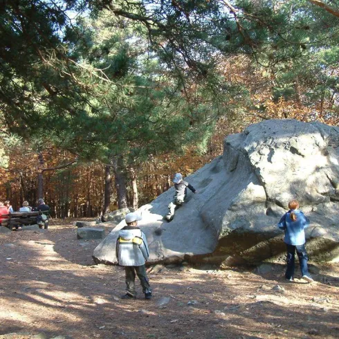 Eine Gruppe von Kindern spielt im Wald und klettert auf einen großen Felsen. Im Hintergrund sind einige Erwachsene auf Bänken zu sehen.