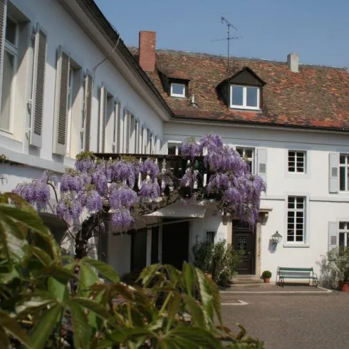 Ein charmantes weißes Haus mit einem roten Dach und einem schönen Hof. An einer Pergola blühen lila Blumen und sorgen für eine einladende Atmosphäre.