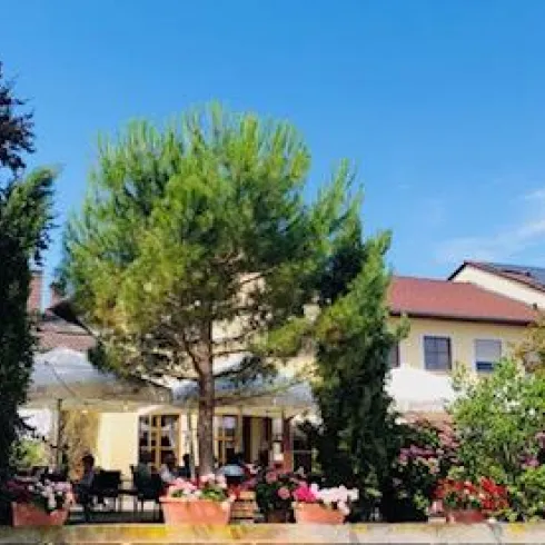 Ein gemütliches Restaurant mit einem großen Baum und vielen Blumen. Unter den Sonnenschirmen sitzen Gäste und genießen die Atmosphäre.