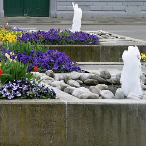Eine schöne Landschaft mit bunten Blumen und kleinen Springbrunnen. Steine umgeben die Pflanzen und verleihen dem Bild einen natürlichen Look.