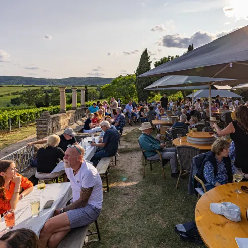 Eine lebhafte Terrasse mit vielen Gästen, die in einer Weinregion speisen und trinken. Im Hintergrund sind Weinreben und eine schöne Landschaft zu sehen.