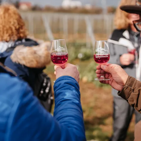 Beim Wandern genießen: feine Dürkheimer Weine Beim Wandern genießen: feine Dürkheimer Weine