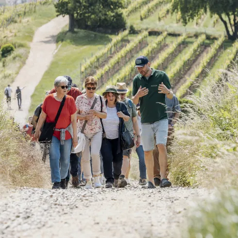 Eine Gruppe von Menschen wandert einen Weg zwischen Weinreben entlang. Sie unterhalten sich fröhlich und genießen die Natur.