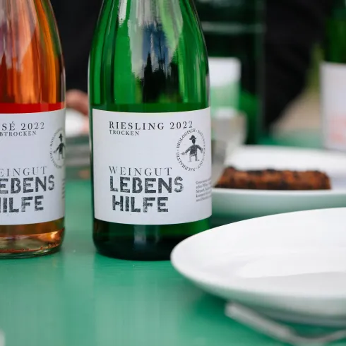 Zwei Flaschen Wein auf einem Tisch, eine Rosé- und eine Rieslingflasche. Der Tisch ist grün gedeckt und es sind ein Teller und einige Snacks sichtbar.