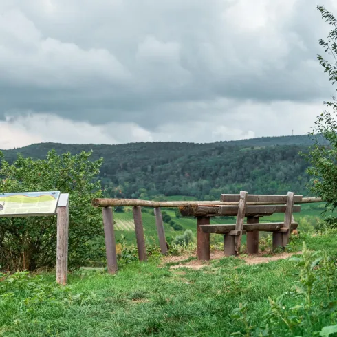 Eine gemütliche Bank steht neben einem Info-Schild auf einer grünen Wiese mit Blick auf die Weinberge. Der Himmel ist bewölkt und die Landschaft wirkt friedlich.