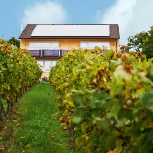 Hausansicht aus Wingert