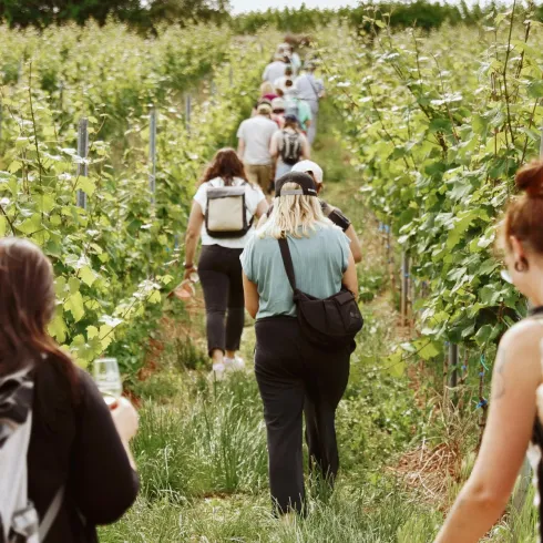 Eine Gruppe von Menschen wandert durch eine malerische Weinlandschaft. Im Vordergrund steht ein Glas Wein, das die genussvolle Stimmung unterstreicht.