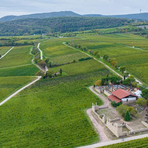 Römervilla Weilberg Luftbild