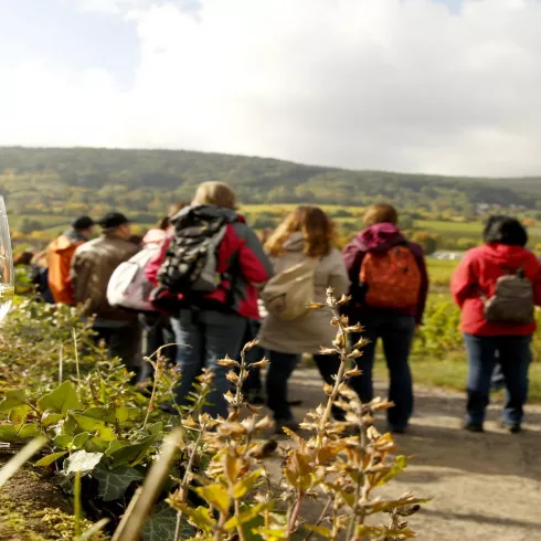 Weinwanderung Gruppe (© melhubach photographie) Weinwanderung Gruppe (© melhubach photographie)