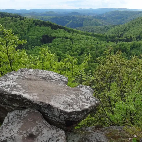 Eine Felsenansicht mit grünen Wäldern und sanften Hügeln im Hintergrund. Die Landschaft strahlt Ruhe und Naturverbundenheit aus.