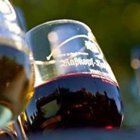 Zwei Weingläser stehen nebeneinander, eines mit weißem und das andere mit rotem Wein. Im Hintergrund sind unscharfe Flaschen sichtbar.