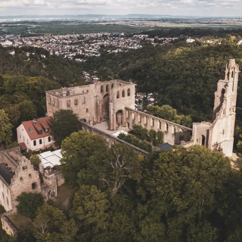 Eine alte Ruine auf einem Hügel, umgeben von Bäumen. Im Hintergrund erstreckt sich eine weite Landschaft mit bewölktem Himmel.