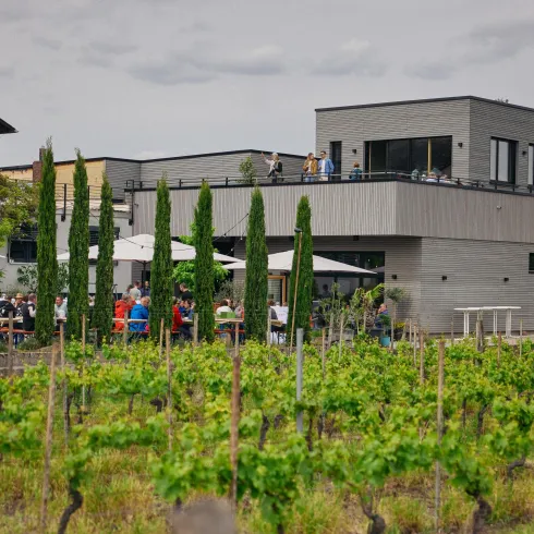 Ein modernes Weingut mit vielen grünen Reben. Auf der Terrasse sitzen Menschen und genießen die Aussicht.