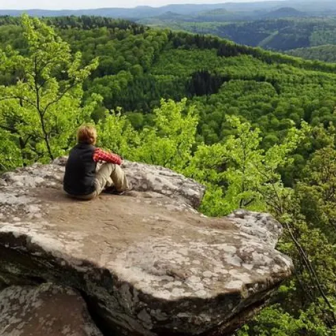 Ein Mensch sitzt auf einem großen Felsen und schaut auf eine grüne Waldlandschaft. Die Aussicht umfasst Hügel und dichter Wald unter einem klaren Himmel.