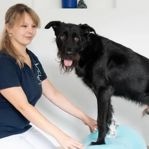 Bewegungstherapie (© Stadt Bad Dürkheim)