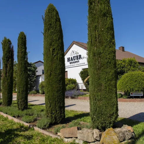 Weingut Hauer Gebäudeansicht