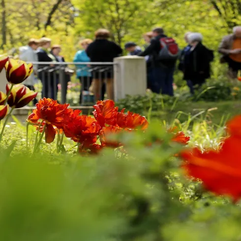 Kurpark (© melhubach photographie)