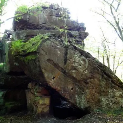 Ein großer, moosbedeckter Fels im Wald steht unterhalb von Bäumen. Der Fels hat eine markante Form mit einer Öffnung auf der Vorderseite.