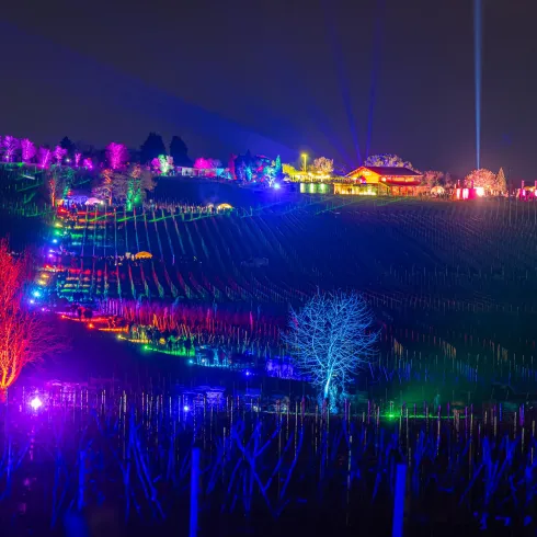 Lichtinstallationen auf der Weinbergnacht