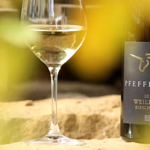 Ein Weinkeller mit großen Holzfässern. Die Atmosphäre ist warm und einladend.