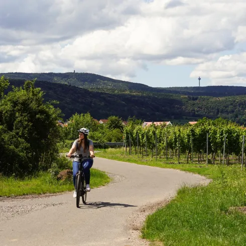 Radfahrerin in den Weinbergen mit Pfälzer Wald (© Stadt Bad Dürkheim)