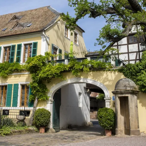Ein historisches Gebäude mit bunten Fensterläden und viel Grün. Der Eingangsbereich ist von Pflanzen umgeben und ein großer Baum steht in der Nähe.