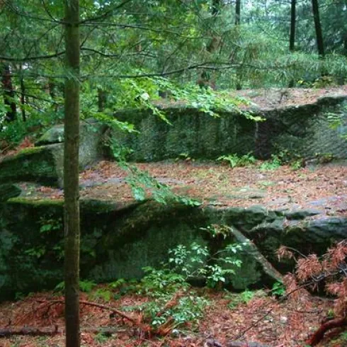 Eine große, moosbedeckte Felsformation im Wald. Umgeben von Bäumen und fallenem Laub.