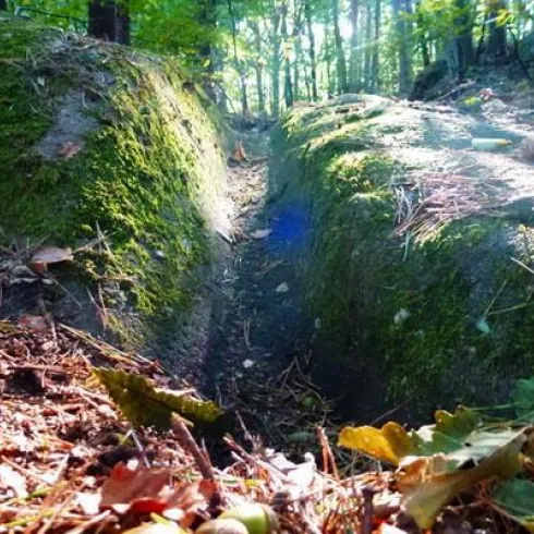 Ein schmaler Graben im Wald, umgeben von moosbedecktem Boden und fallenden Blättern. Die Sonnenstrahlen scheinen durch die Bäume und beleuchten die Szenerie.