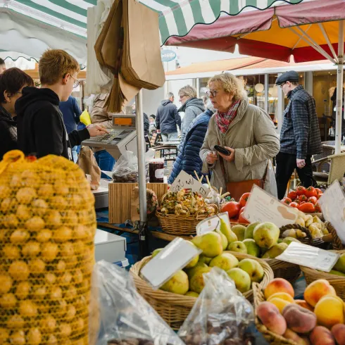 Der Osterglockenmark in Bad Dürkheim. Der Osterglockenmark in Bad Dürkheim.