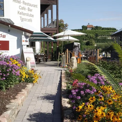 Terrasse Mercure Hotel