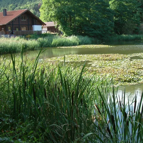 Seitenansicht Herzogweiher (© Stadt Bad Dürkheim) Seitenansicht Herzogweiher (© Stadt Bad Dürkheim)