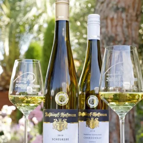 Zwei Flaschen Wein stehen auf einem Tisch, begleitet von zwei Weingläsern. Im Hintergrund sind grüne Pflanzen und Blumen zu sehen.