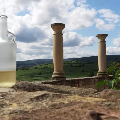 Die Römer und der Wein Die Römer und der Wein
