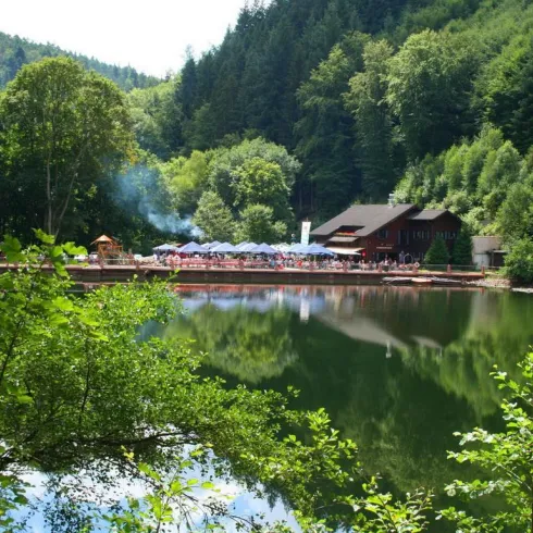 Forsthaus zur Isenach und Weiher