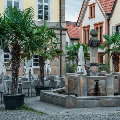 Ein schöner Platz mit einem Brunnen und Palmen. Im Hintergrund sind farbenfrohe Gebäude mit großen Fenstern zu sehen.