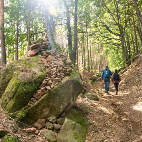 Zwei Wanderer gehen auf einem schmalen Pfad durch einen Wald. Die Umgebung ist grün und von Sonnenlicht durchflutet.