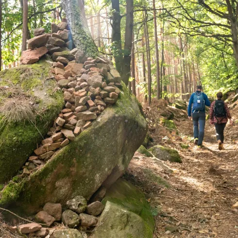 Zwei Wanderer gehen auf einem schmalen Pfad durch einen Wald. Die Umgebung ist grün und von Sonnenlicht durchflutet.
