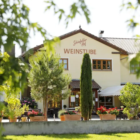 Ein gemütliches Gasthaus mit der Aufschrift "Weinstube" in einem grünen Umfeld. Umgeben von Bäumen und Blumenstands bietet es eine einladende Atmosphäre.