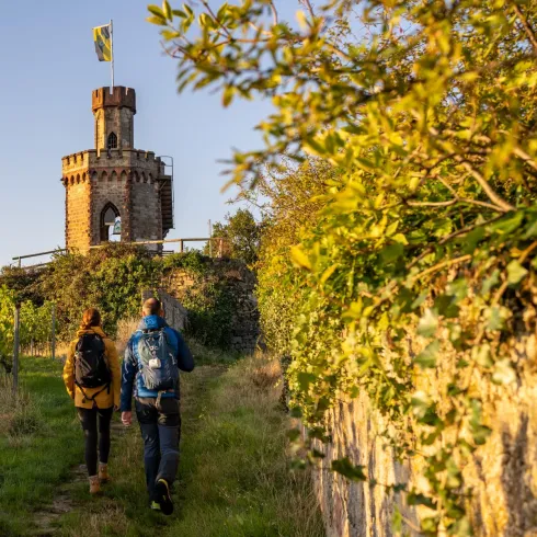 Ein Weg führt durch Weinreben zu einem kleinen Turm. Zwei Personen spazieren in der Abendsonne in Richtung des Turms.